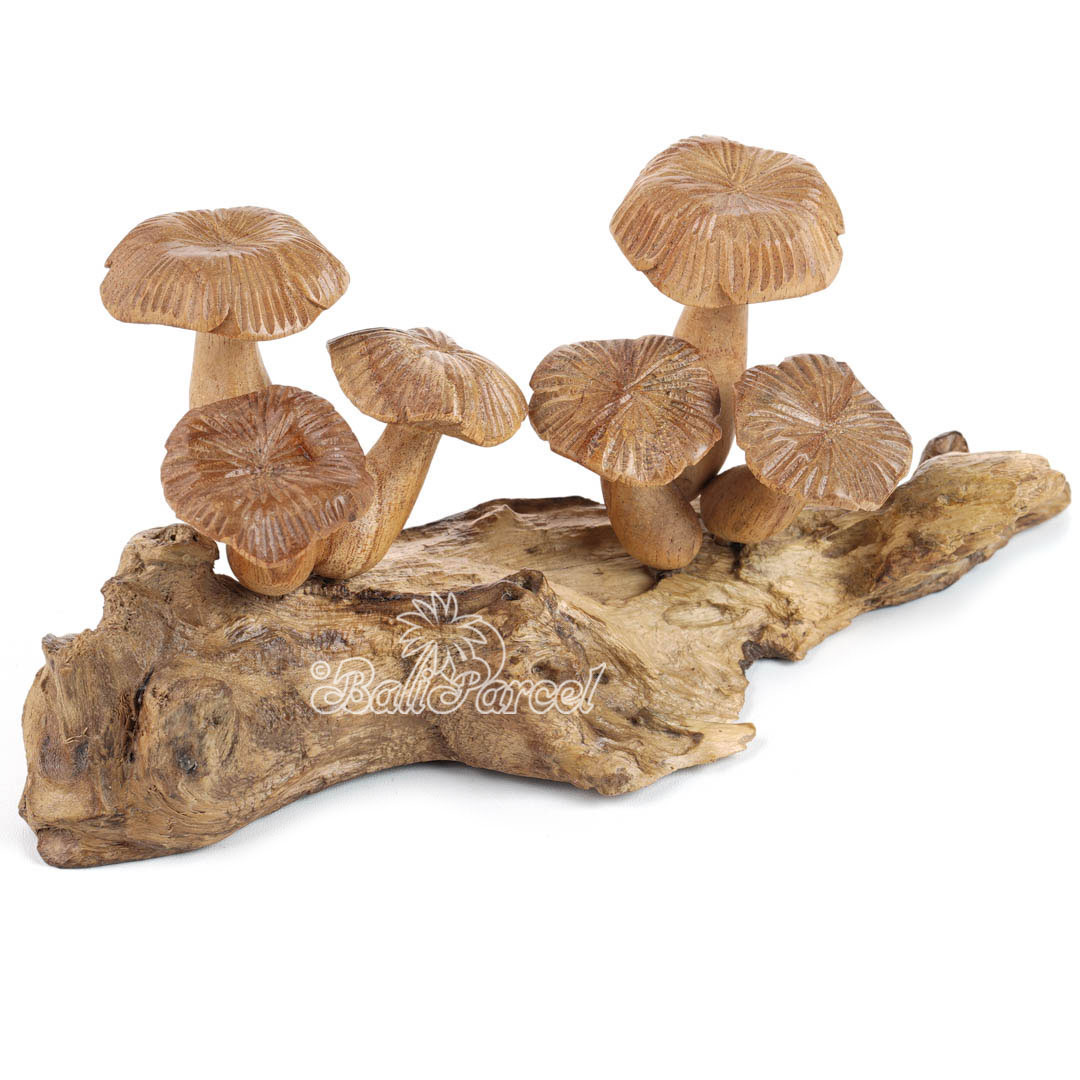 Wooden Mushrooms With Parasite Wood