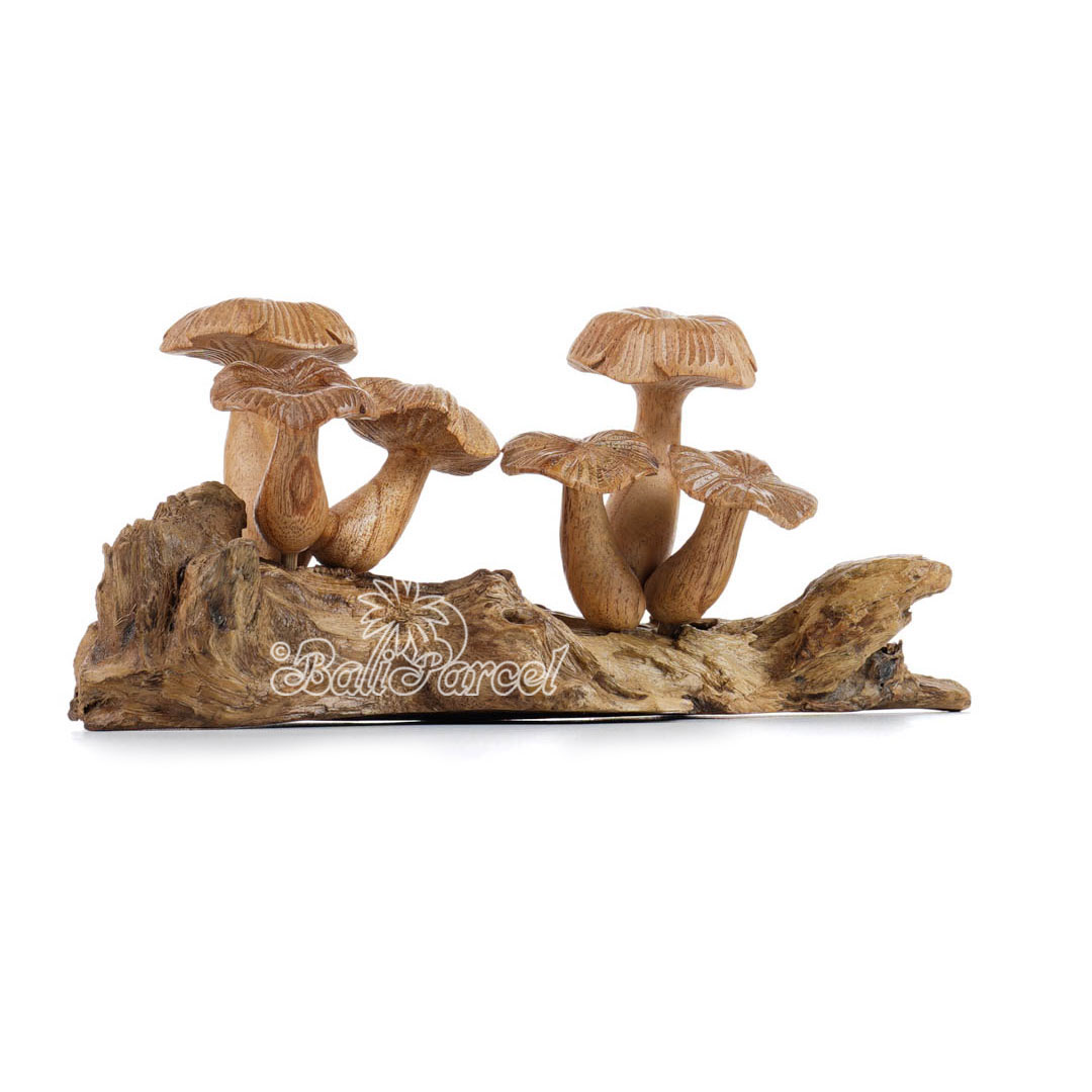 Wooden Mushrooms With Parasite Wood