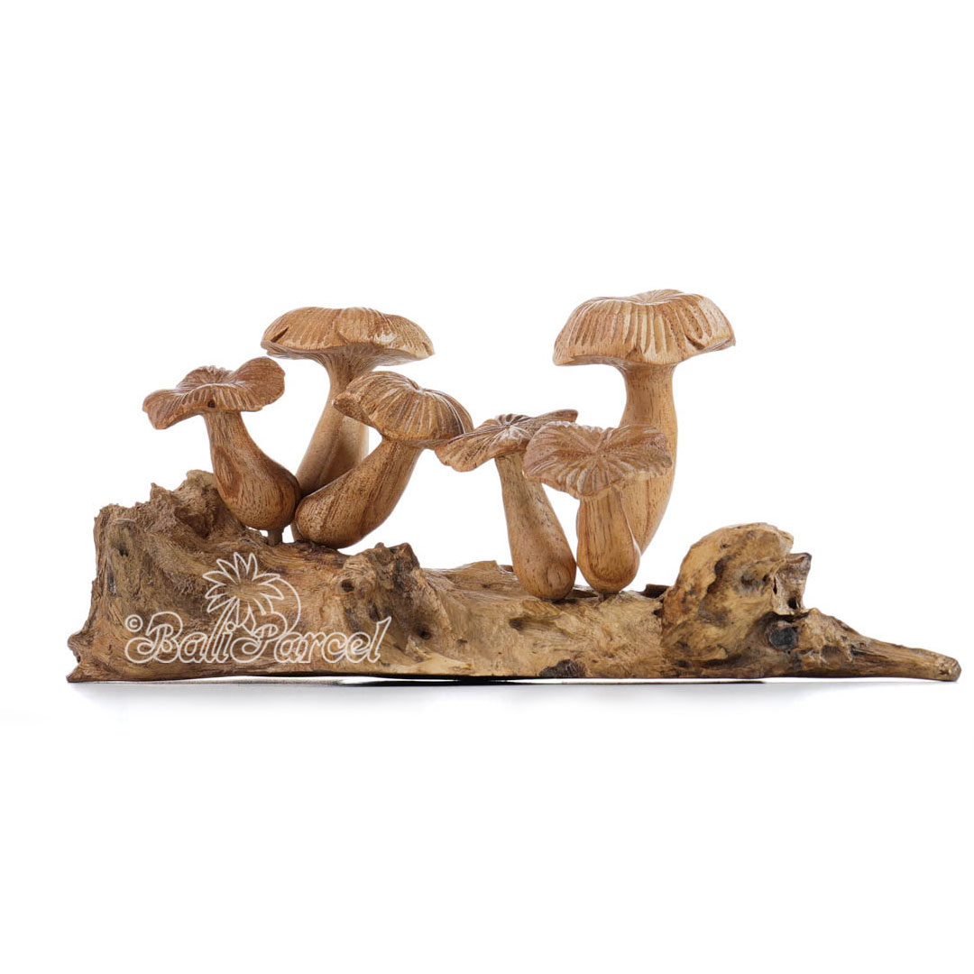 Wooden Mushrooms With Parasite Wood