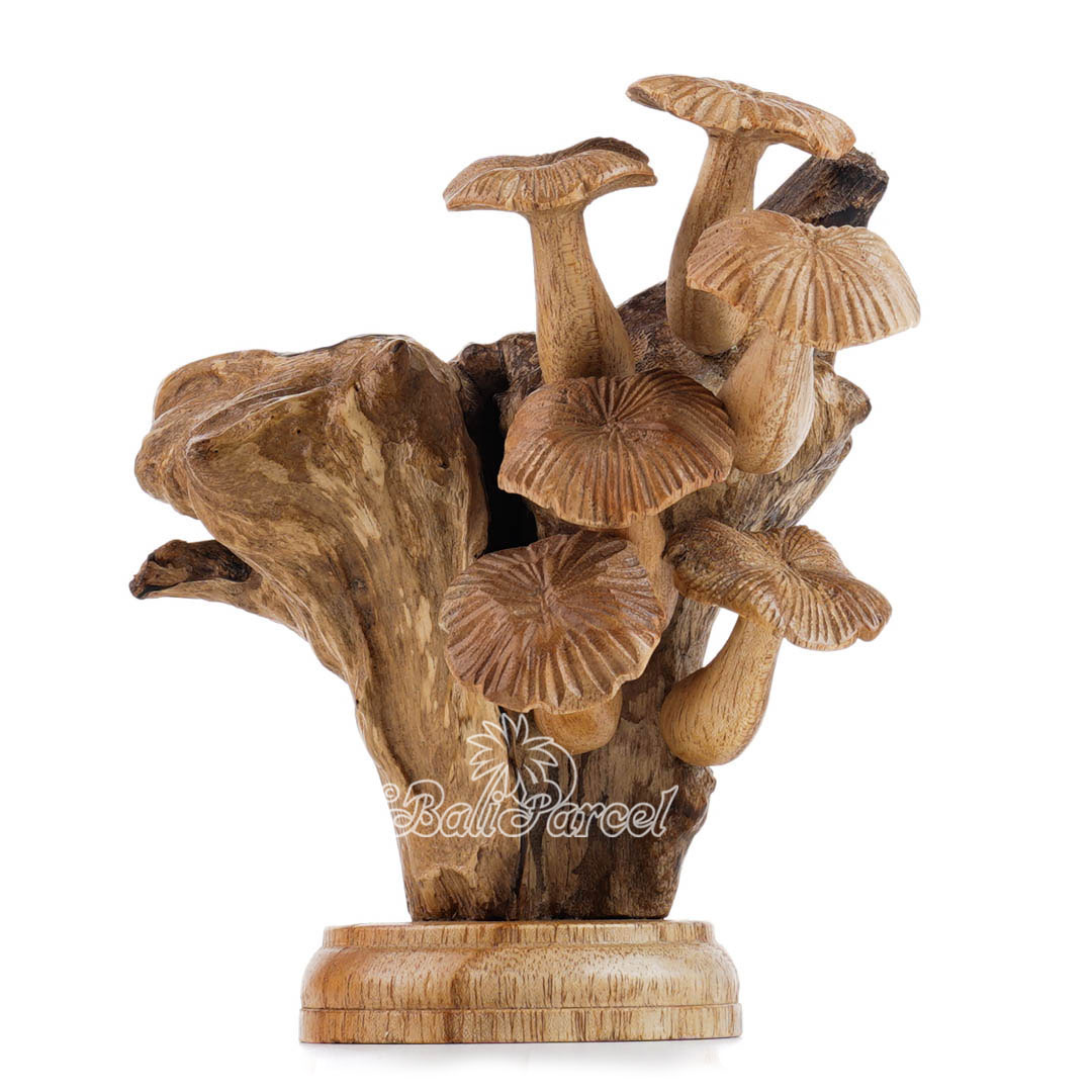 Wooden Mushrooms With Parasite Wood