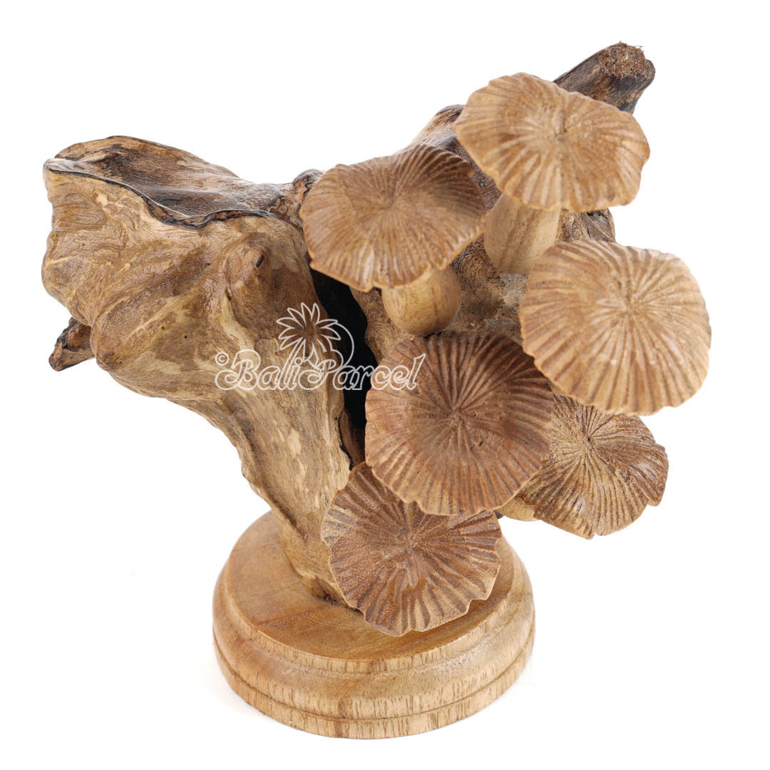 Wooden Mushrooms With Parasite Wood