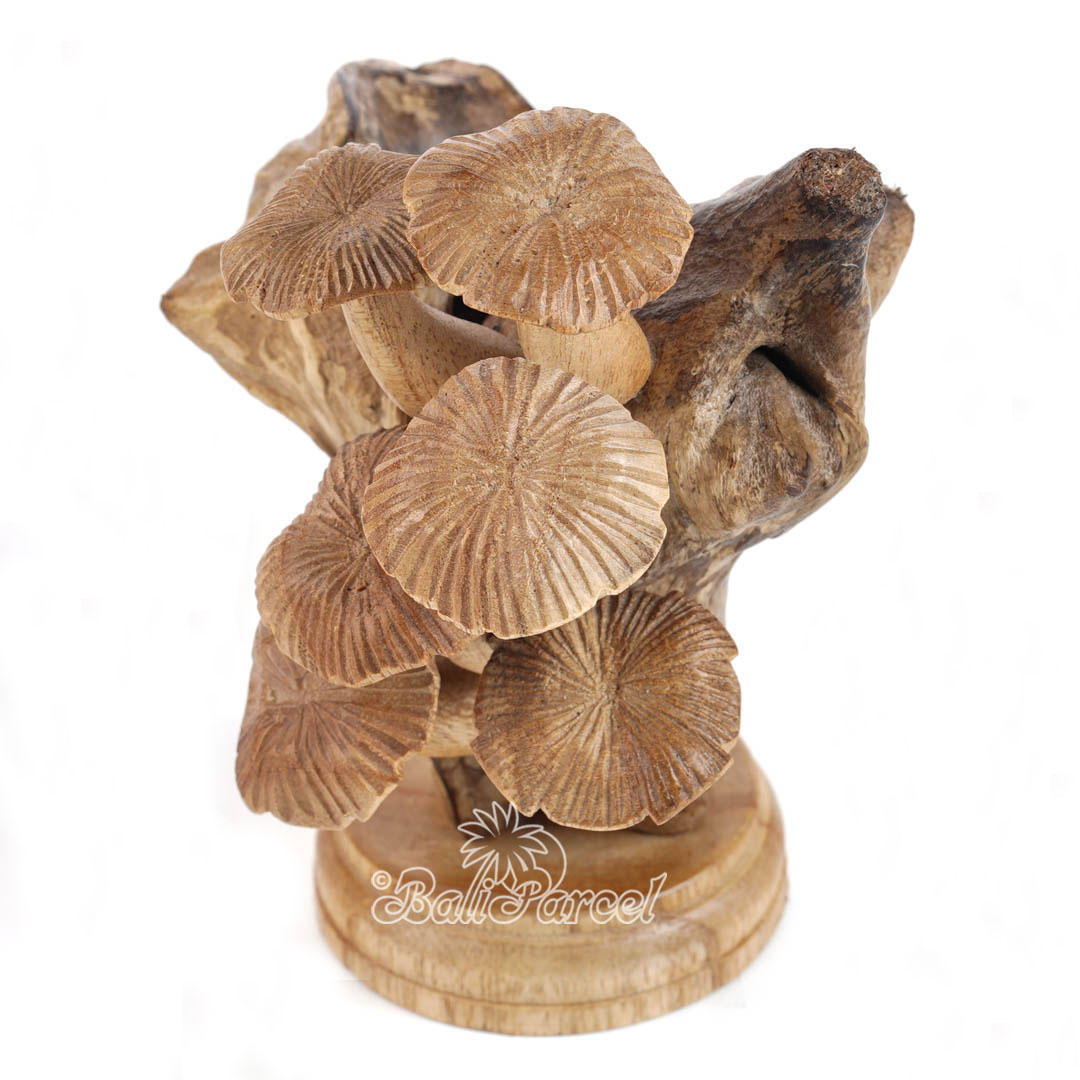 Wooden Mushrooms With Parasite Wood