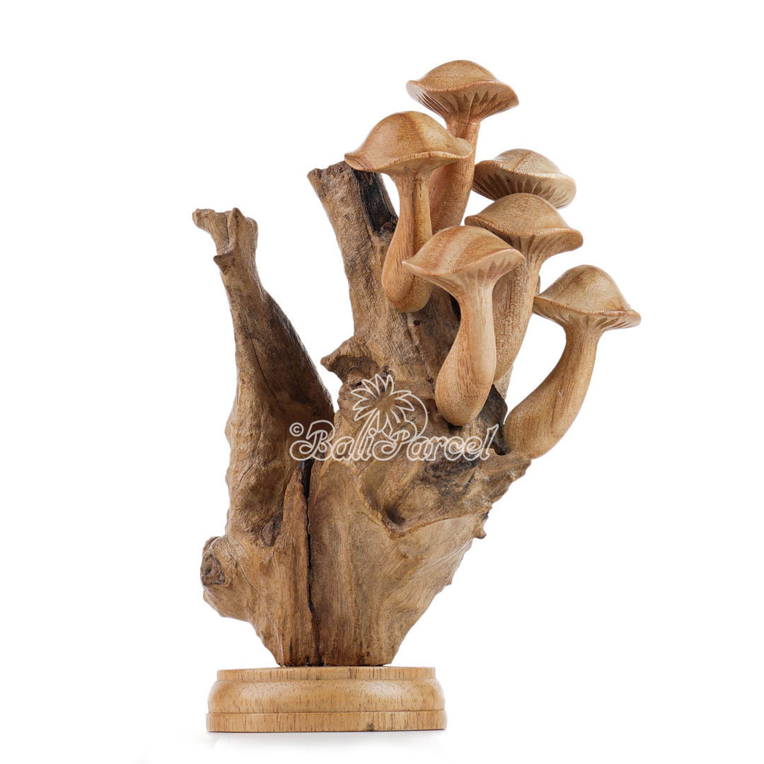 Wooden Mushrooms With Parasite Wood