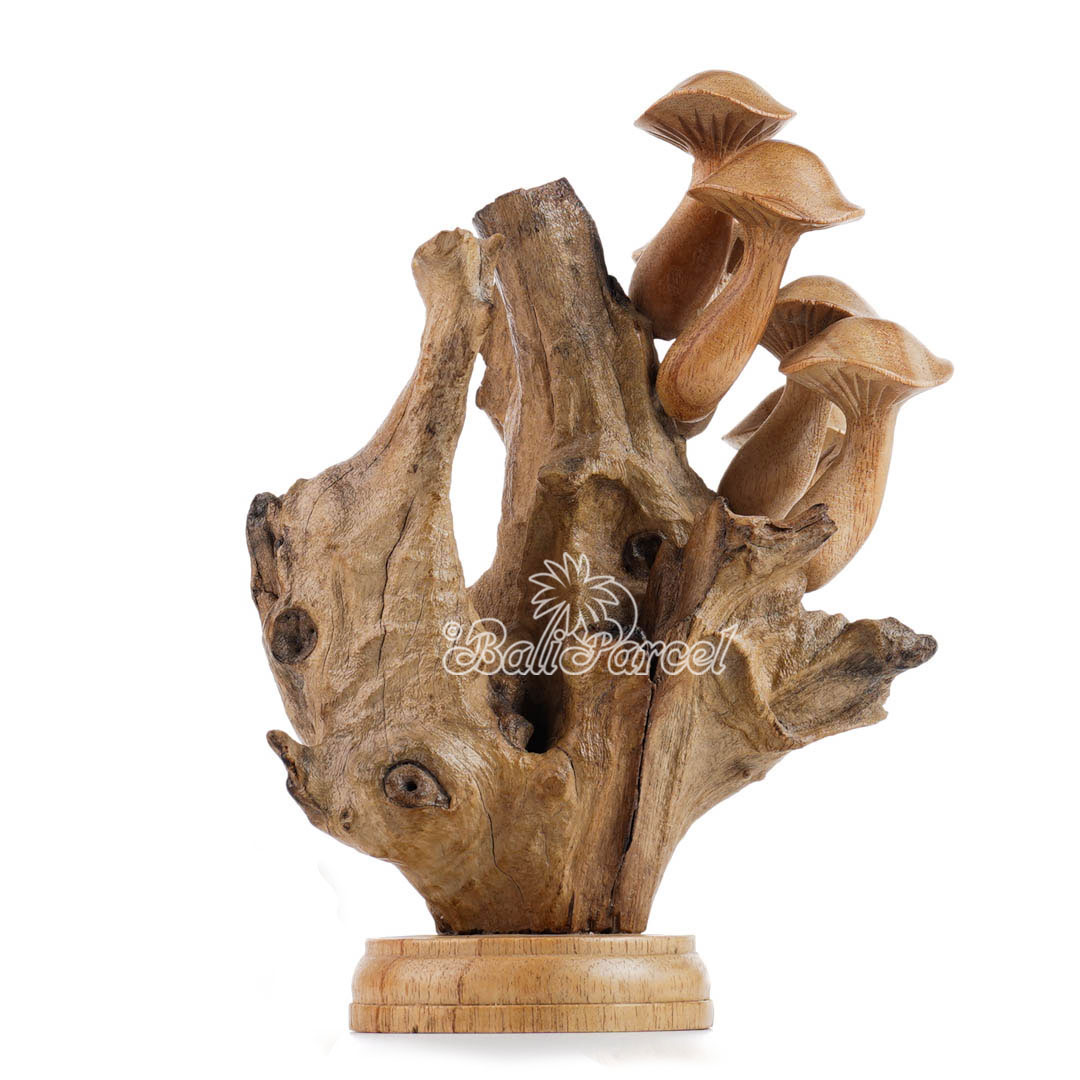 Wooden Mushrooms With Parasite Wood