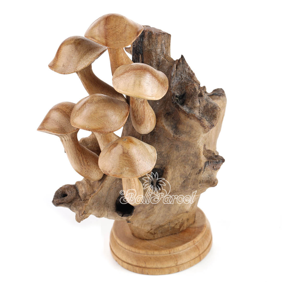 Wooden Mushrooms With Parasite Wood
