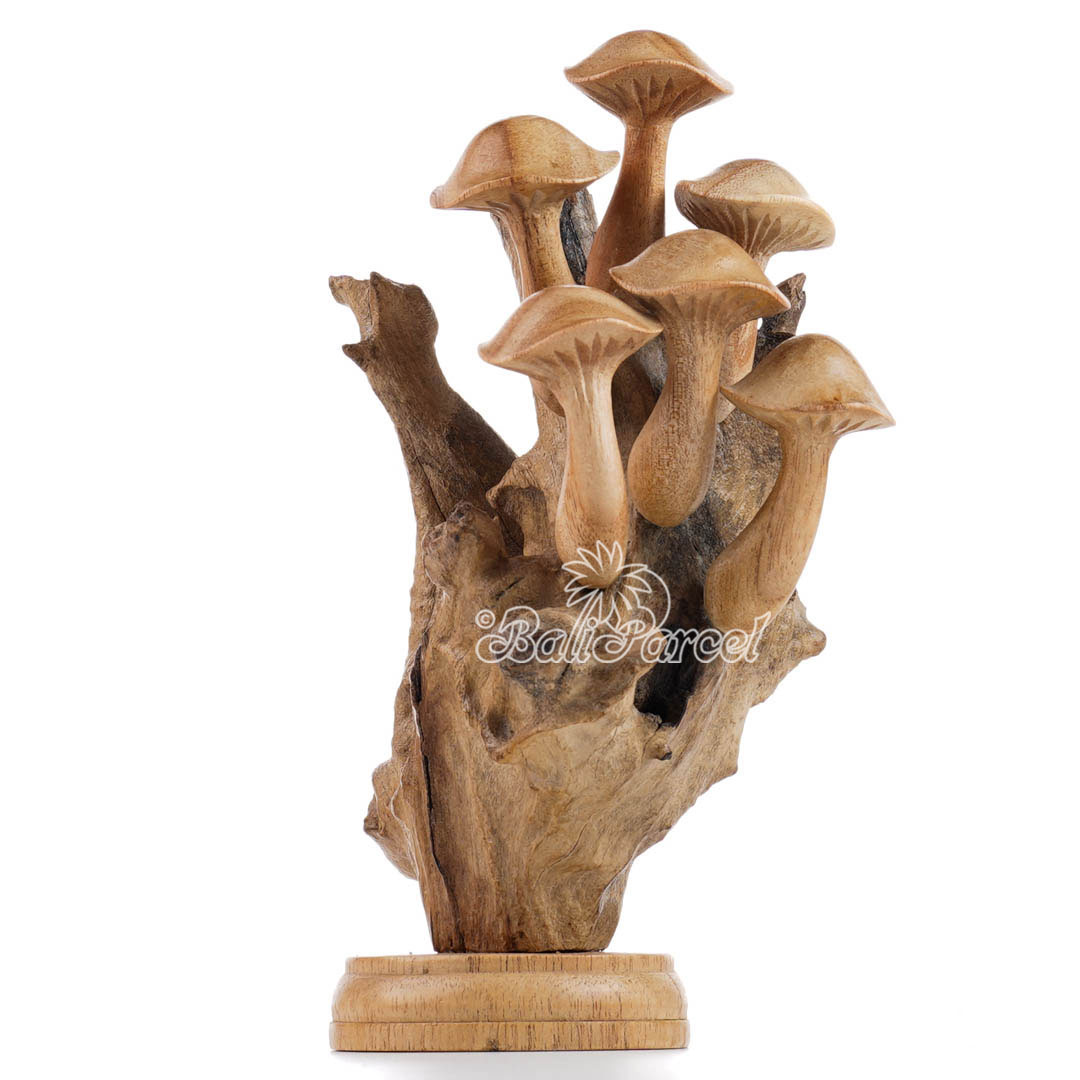 Wooden Mushrooms With Parasite Wood