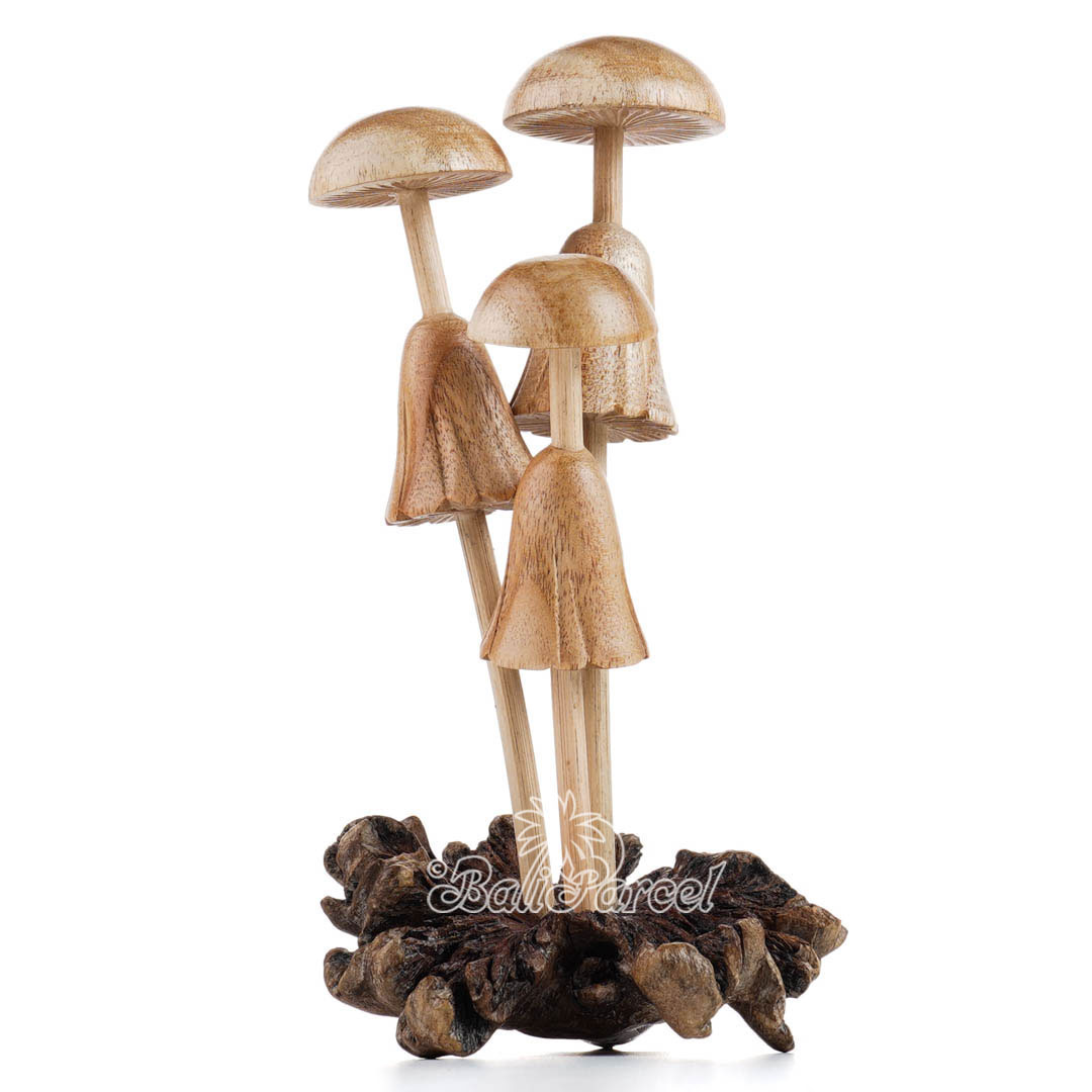 Wooden Mushrooms With Parasite Wood