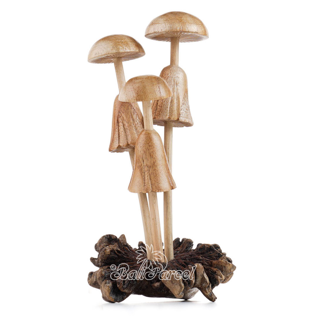 Wooden Mushrooms With Parasite Wood