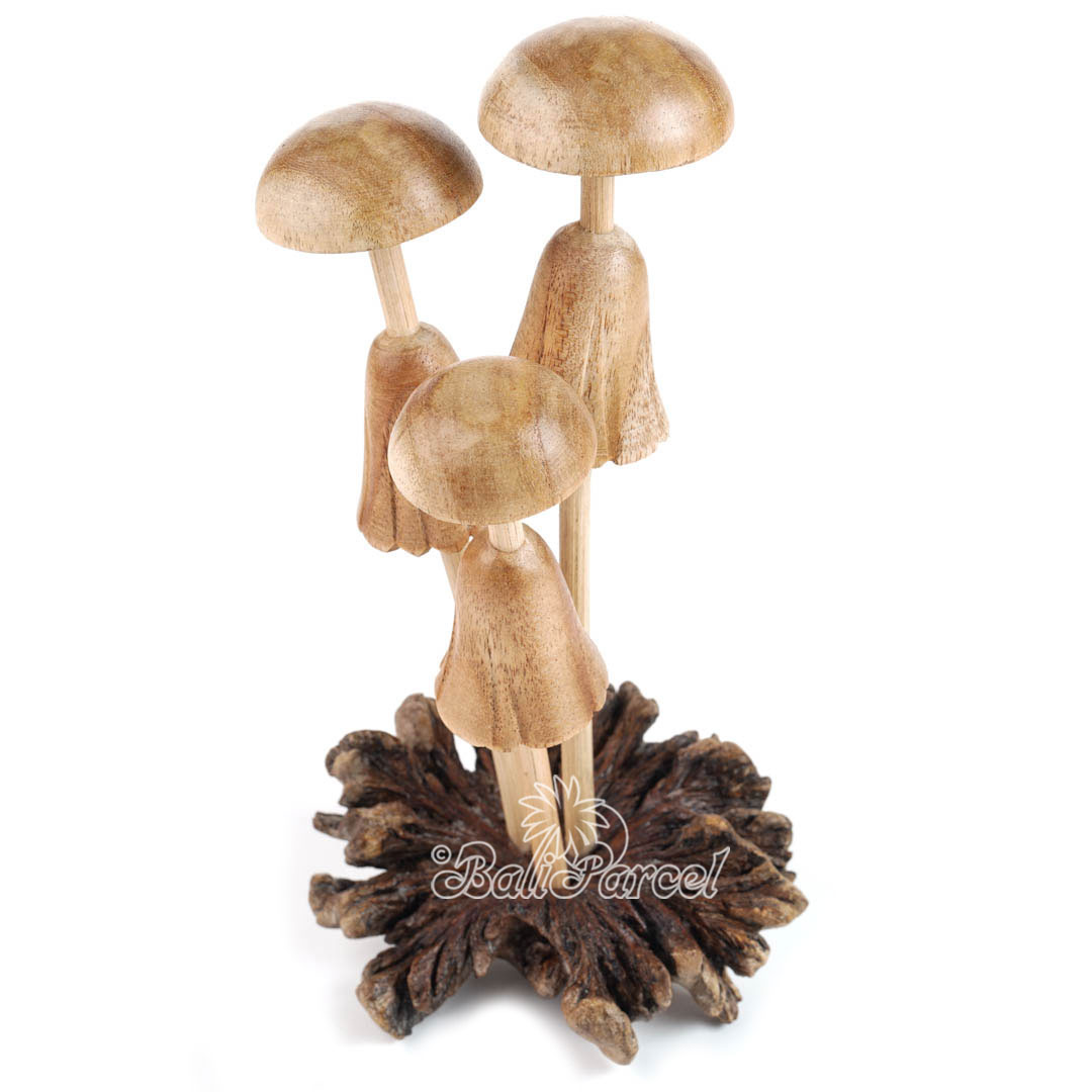 Wooden Mushrooms With Parasite Wood