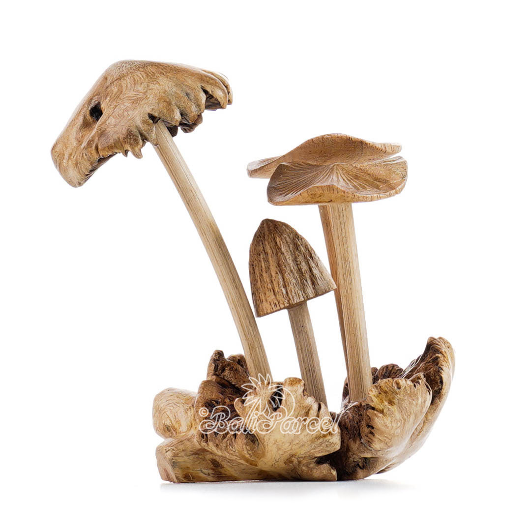 Wooden Mushrooms With Parasite Wood