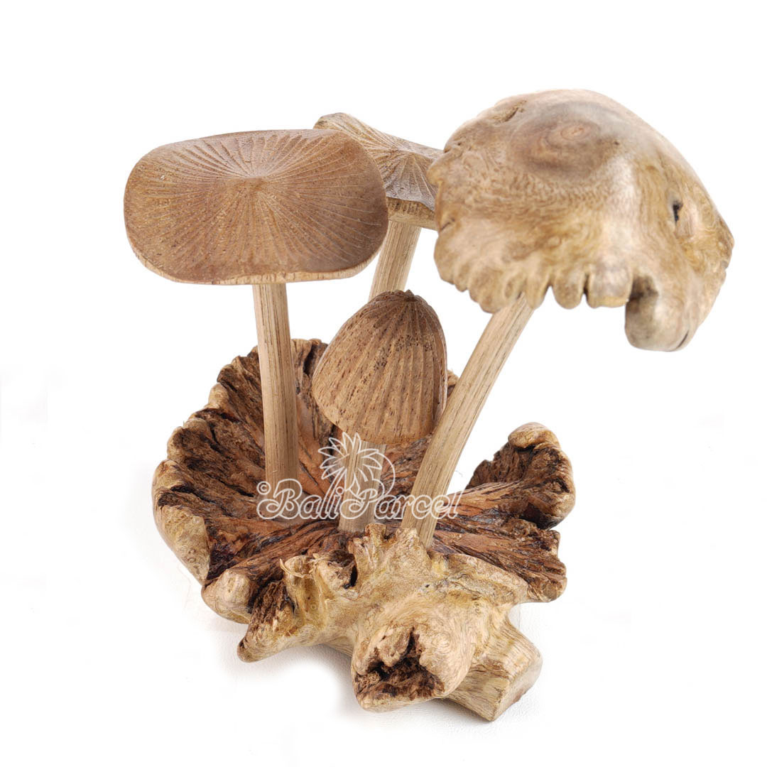 Wooden Mushrooms With Parasite Wood