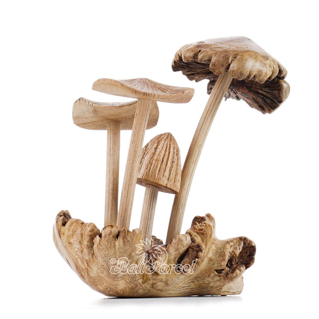 Wooden Mushrooms With Parasite Wood