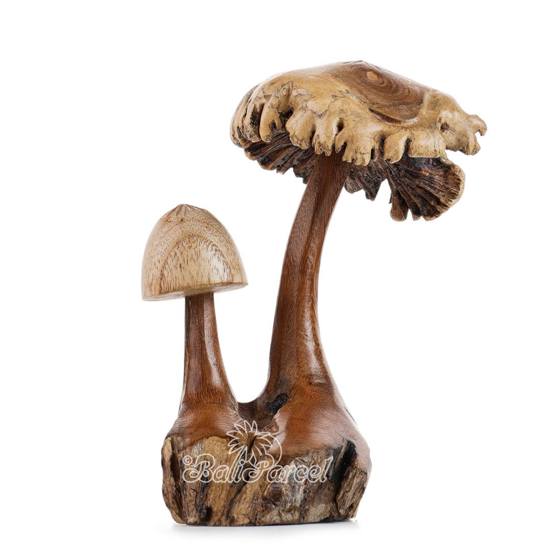Wooden Mushrooms With Parasite Wood