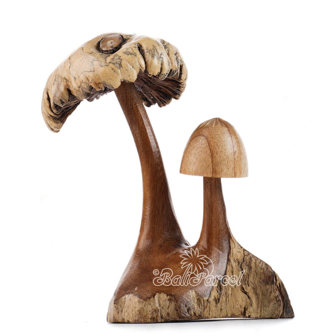Wooden Mushrooms With Parasite Wood