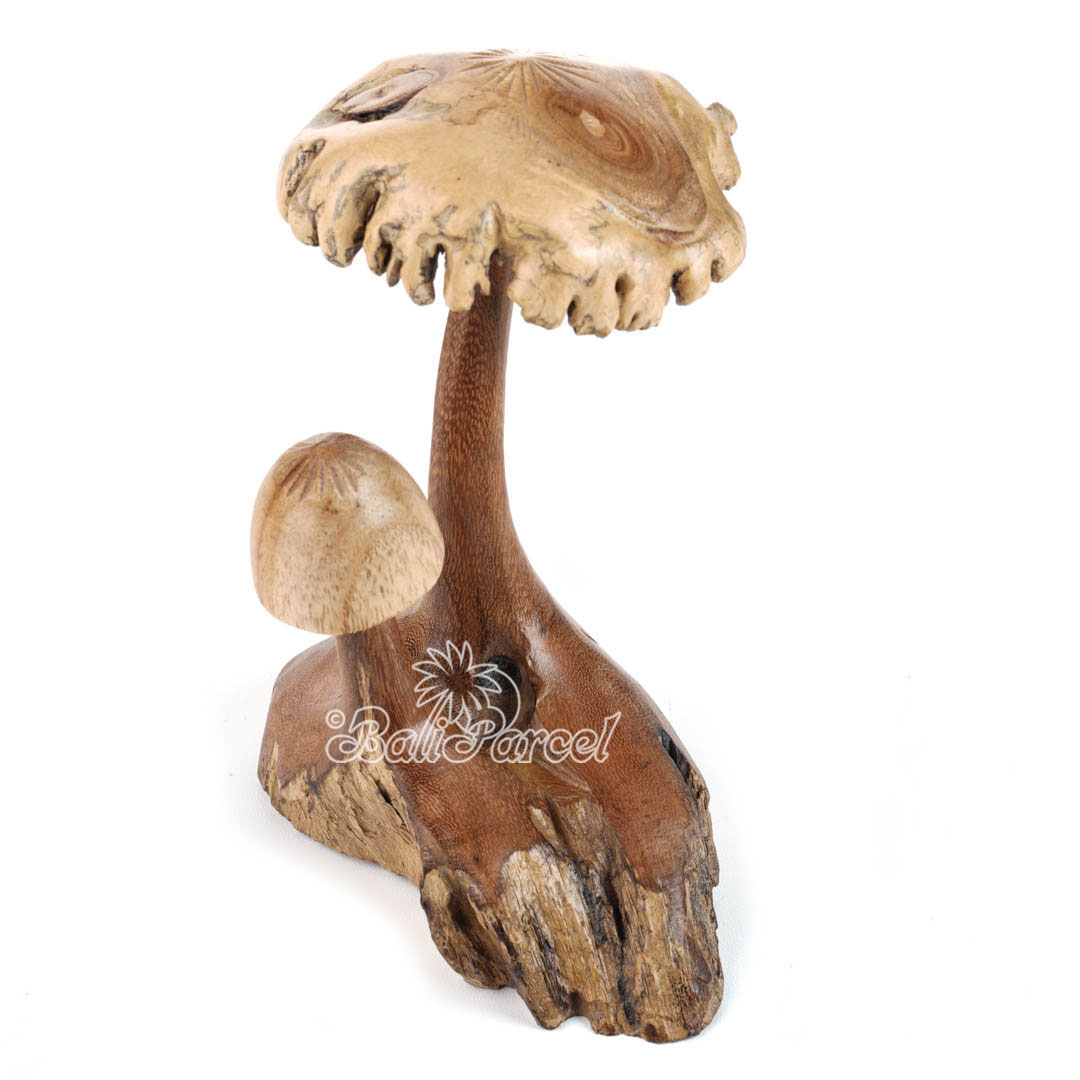 Wooden Mushrooms With Parasite Wood