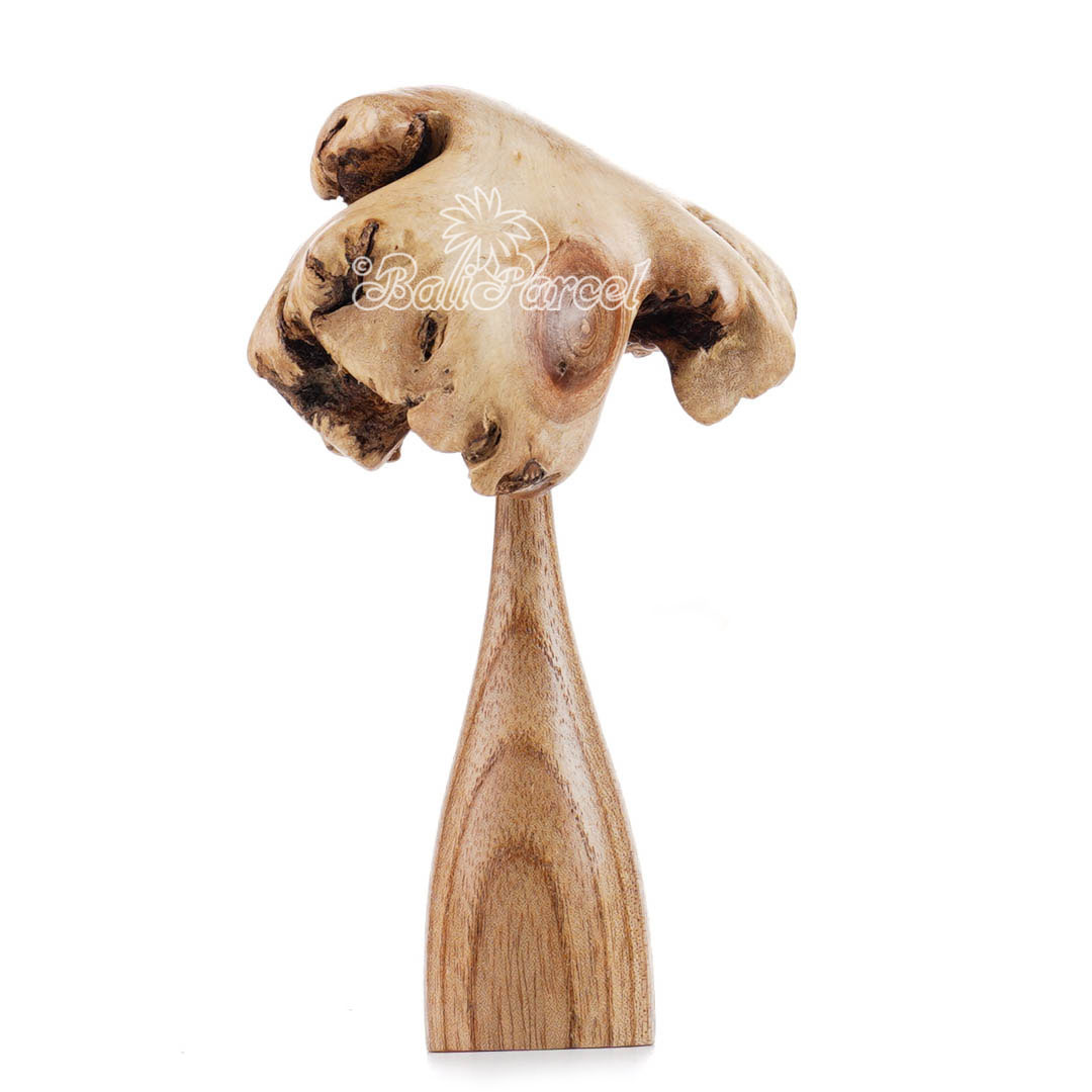 Wooden Parasite