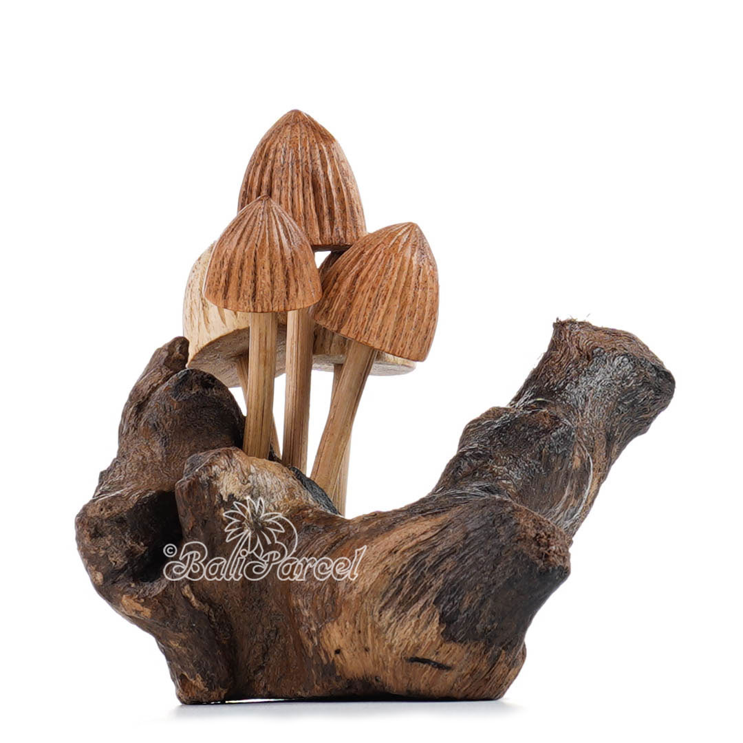 Wooden Mushrooms With Parasite Wood