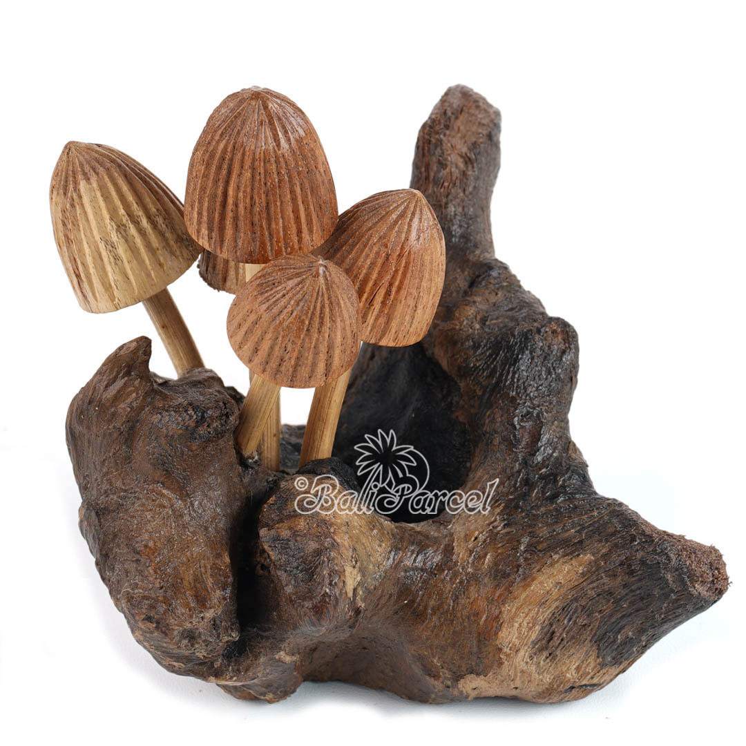 Wooden Mushrooms With Parasite Wood