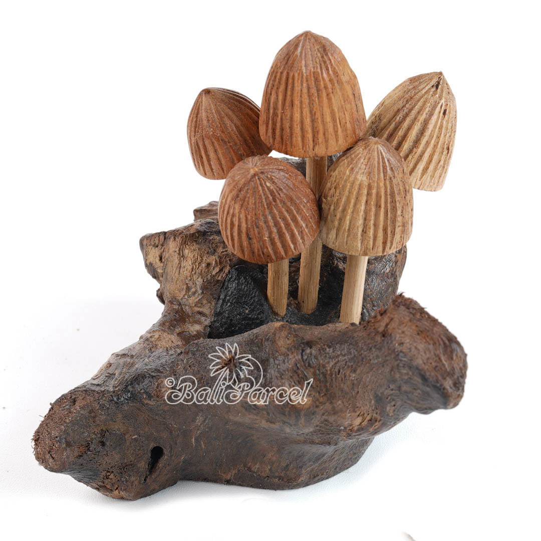 Wooden Mushrooms With Parasite Wood