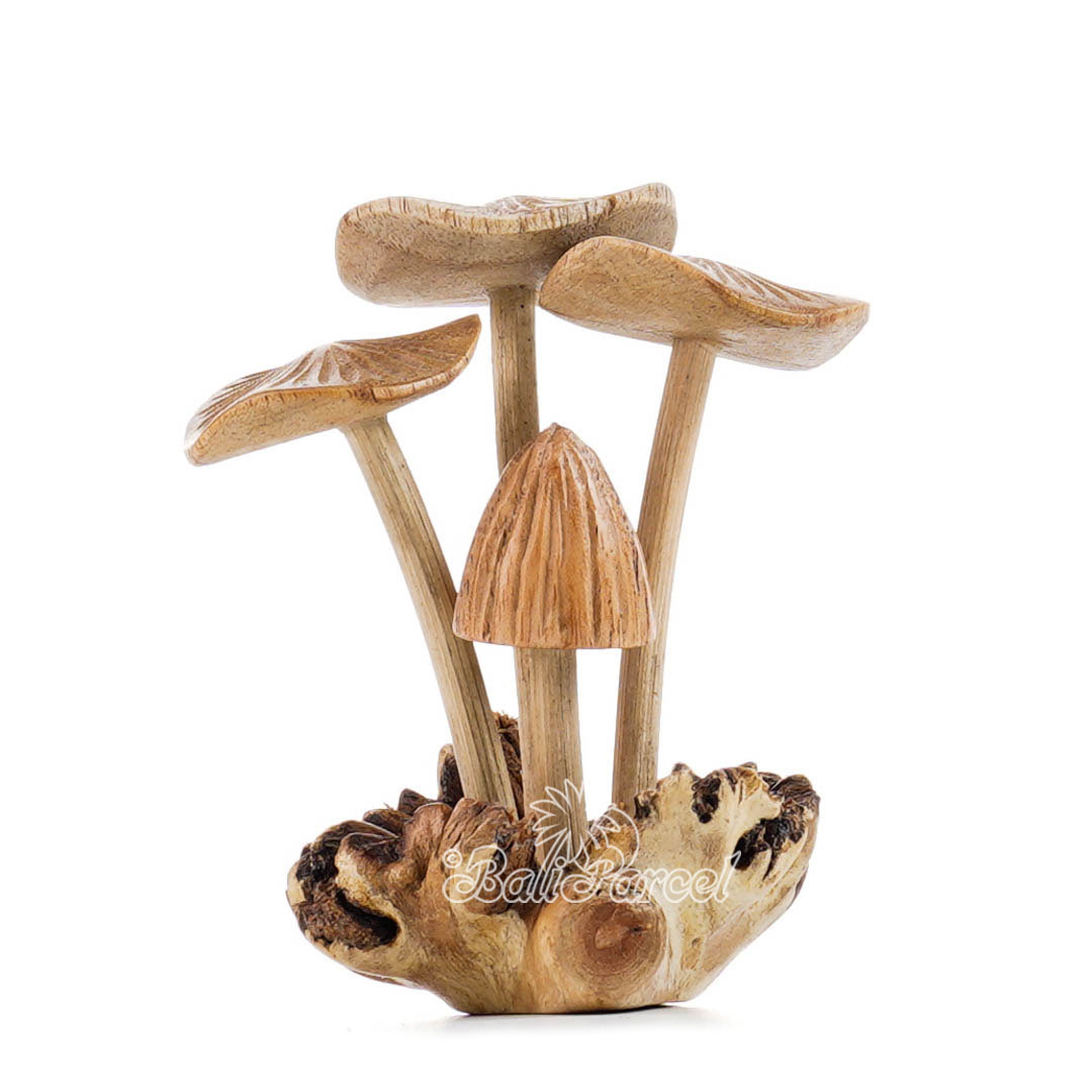 Wooden Mushroom With Parasite Wood