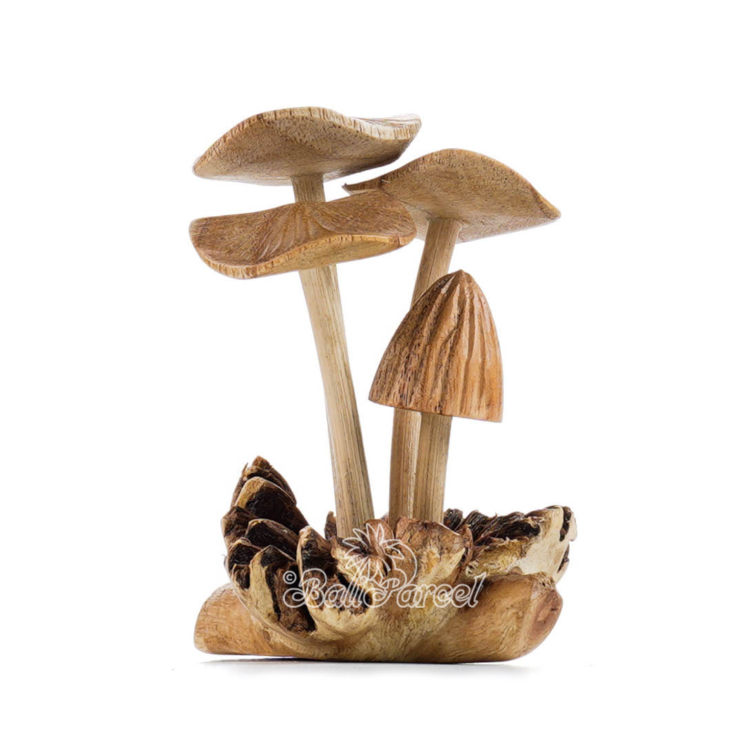 Wooden Mushroom With Parasite Wood
