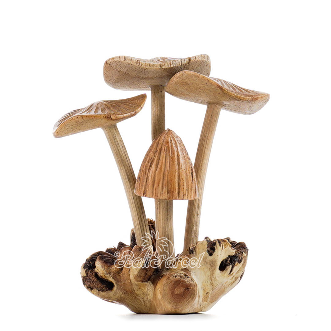 Wooden Mushroom With Parasite Wood