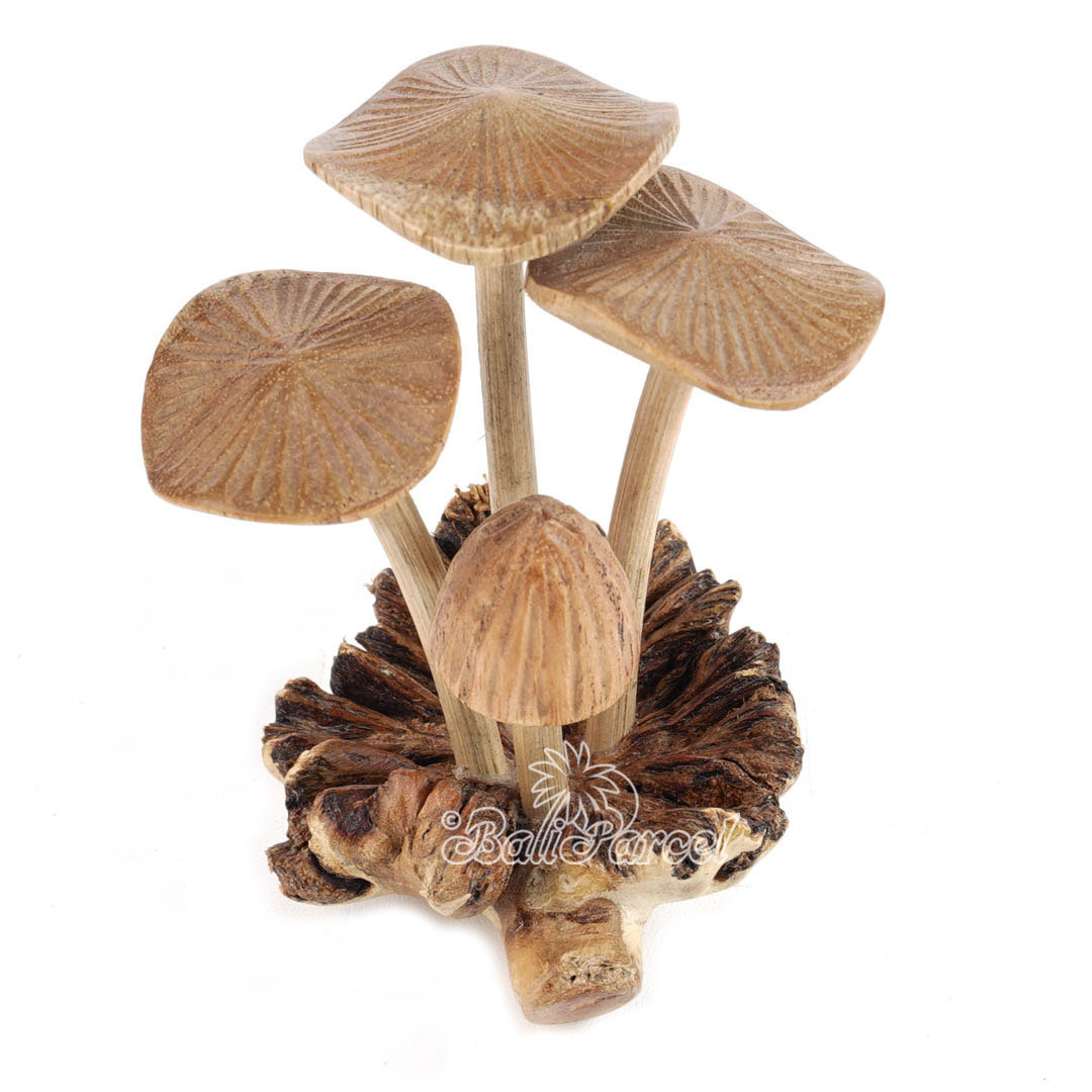 Wooden Mushroom With Parasite Wood
