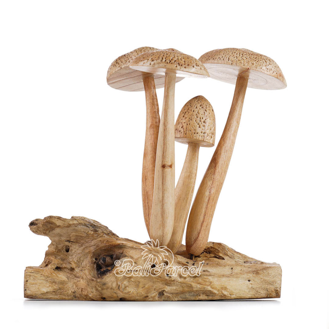 Wooden Mushroom With Parasite Wood