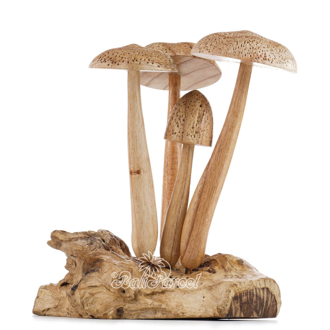 Wooden Mushroom With Parasite Wood