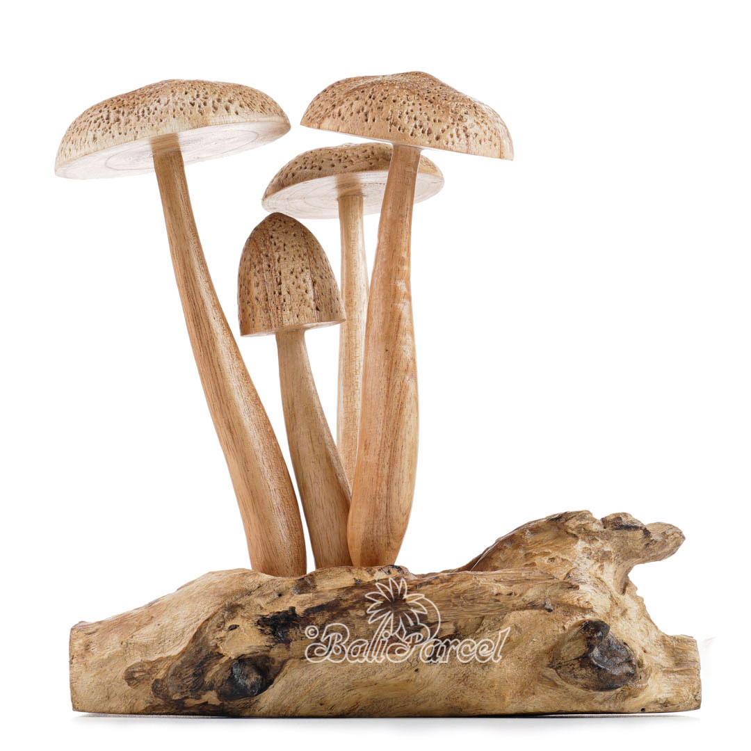 Wooden Mushroom With Parasite Wood