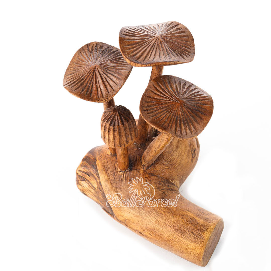 Wooden Mushroom With Parasite Wood