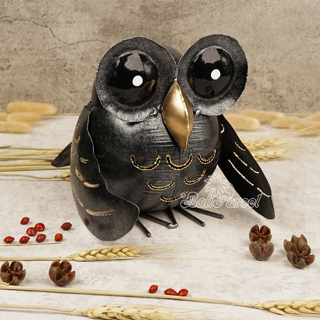 The Owl