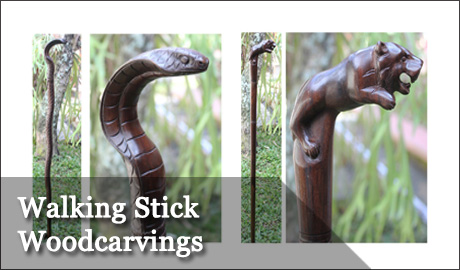 Walking Sticks