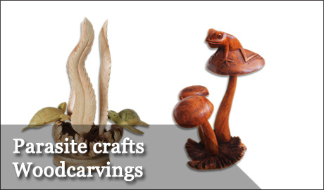Parasite Wood