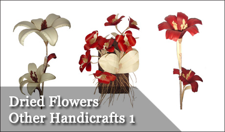 Dried Flowers