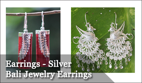 Earrings - Silver