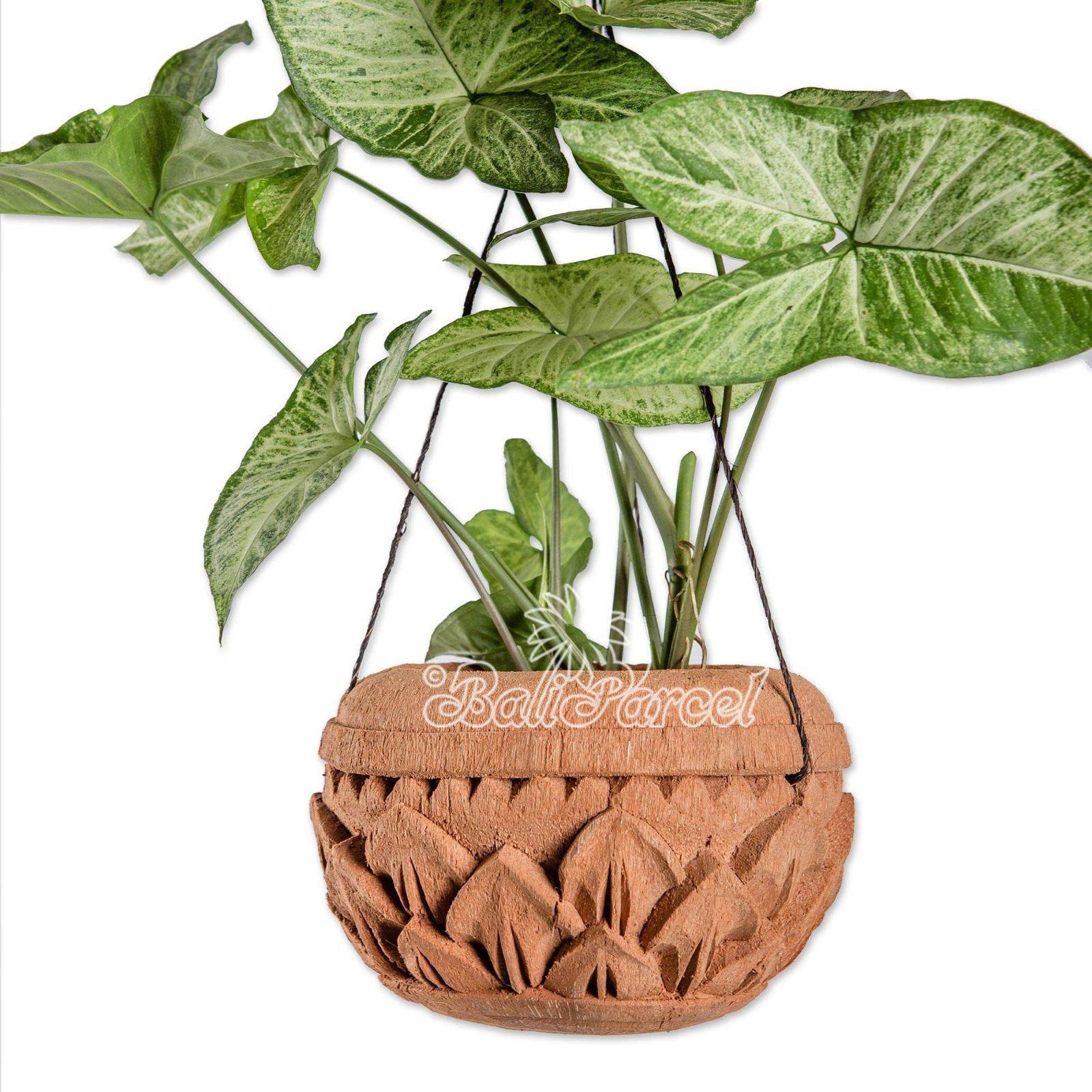 Hanging Pot